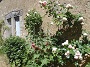 photo05
